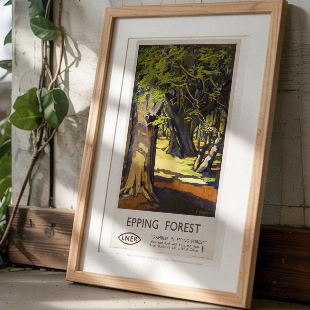 Framed print of Epping Forest leaning against a wall with greenery.